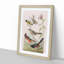 A Selection of Birds by John Audubon - Picture Frame Painting Print on Paper-55450942-55450938