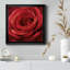 Solo Solo - photographie sur toile encadrée-96482037-96482041