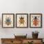 Beetle Bug I - ensemble de 3 peintures sur toile encadrées-1777886076-1777886055