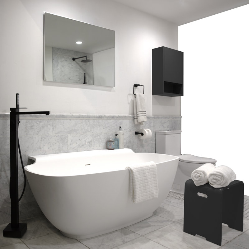 Eleganza Wall Mount Toilet Paper Holder, Matte Black