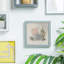 Nicola Spring - 3D Box Photo Frame-50928717-50947036
