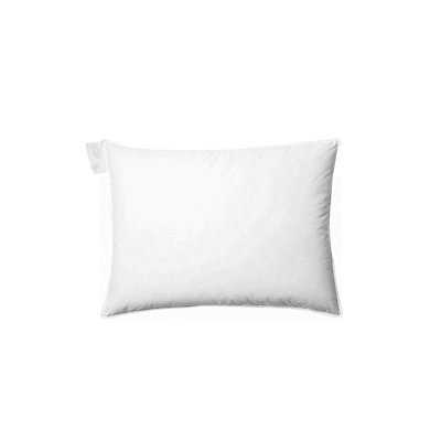 Studio Down Pillow