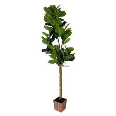 Faux Fiddle Leaf Fig Plant