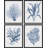 " Navy Blue Marine Coral Leaves Floral Botanical Plant " 4 - Pieces-97770270-97770271