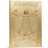 The Vitruvian Man 1485 - Reproduction-55670097