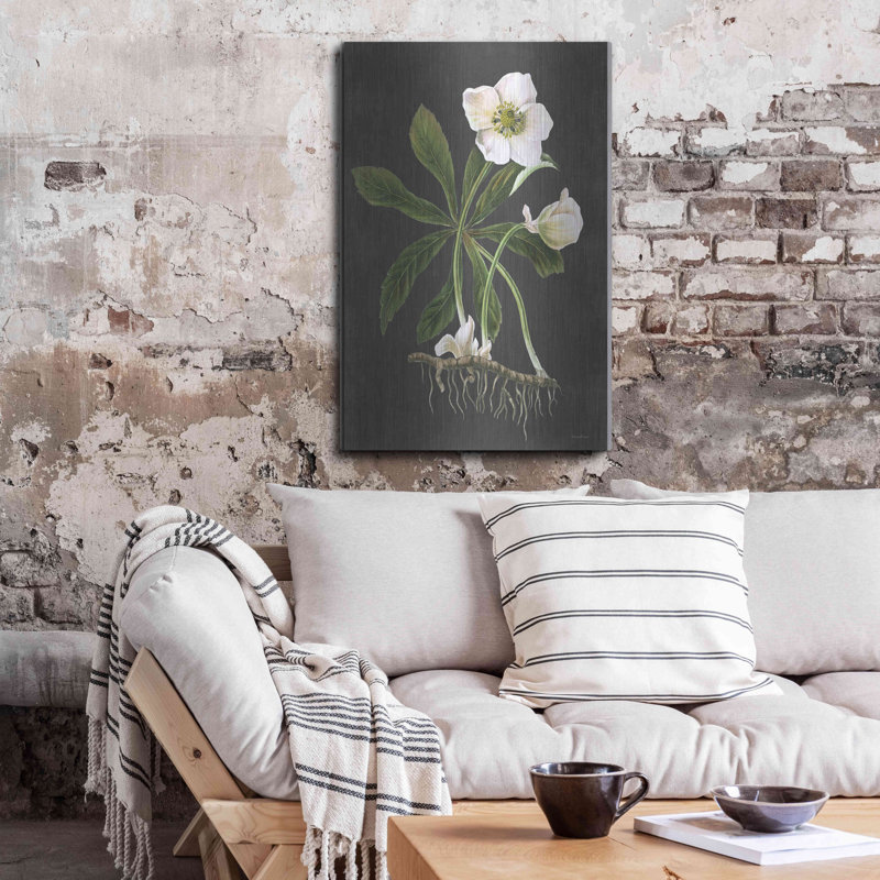 " Hellebore " by Lettered & Lined