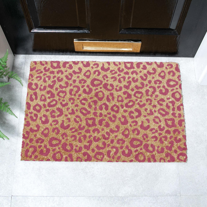 Ailisa Non-Slip Outdoor Doormat, Rectangle 40 x 60 cm
