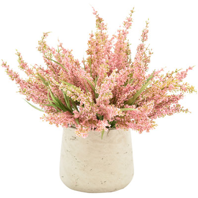 Ferdinand Heather en pot