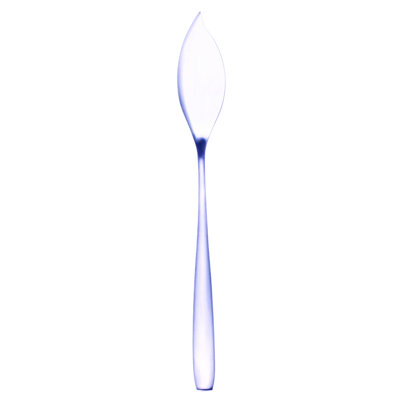 Avanguardia Stainless Steel Dinner Knife