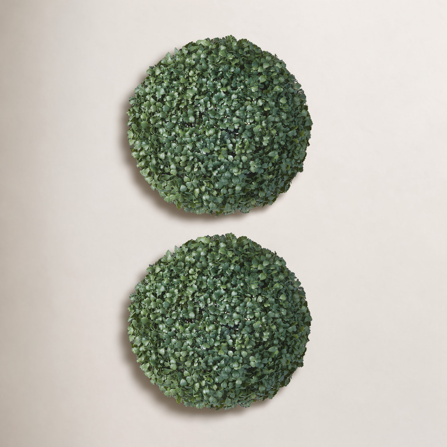 Ashwell Boxwood Topiary, 2, 12" x 12"