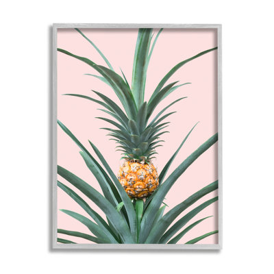 Ananas sur rose par Sissi et Seb