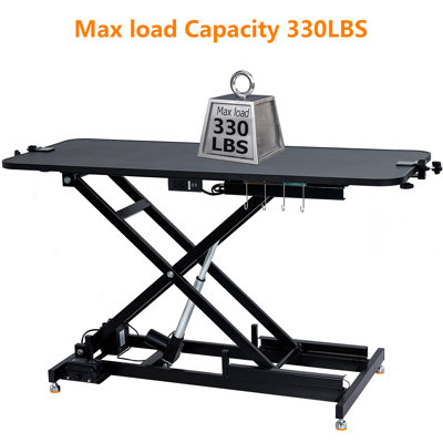 60'' W x 24'' D Electric Grooming Table