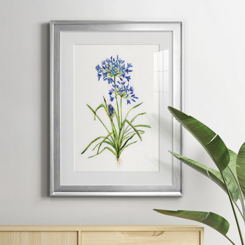 Blue Lived Botanical I - Cadre photo, reproduction d'art sur papier, Argent, H 22,5 po x l 30,5 po x P 1,5 po