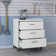 Sibley 30.3" W 3 Drawer Garage Mobile Storage Cabinet
