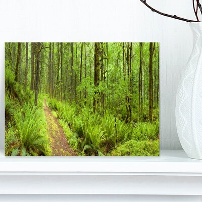 Lush Forest Path Columbia River - Wrapped Canvas Photograph Print -  Design Art, PT11137-32-16