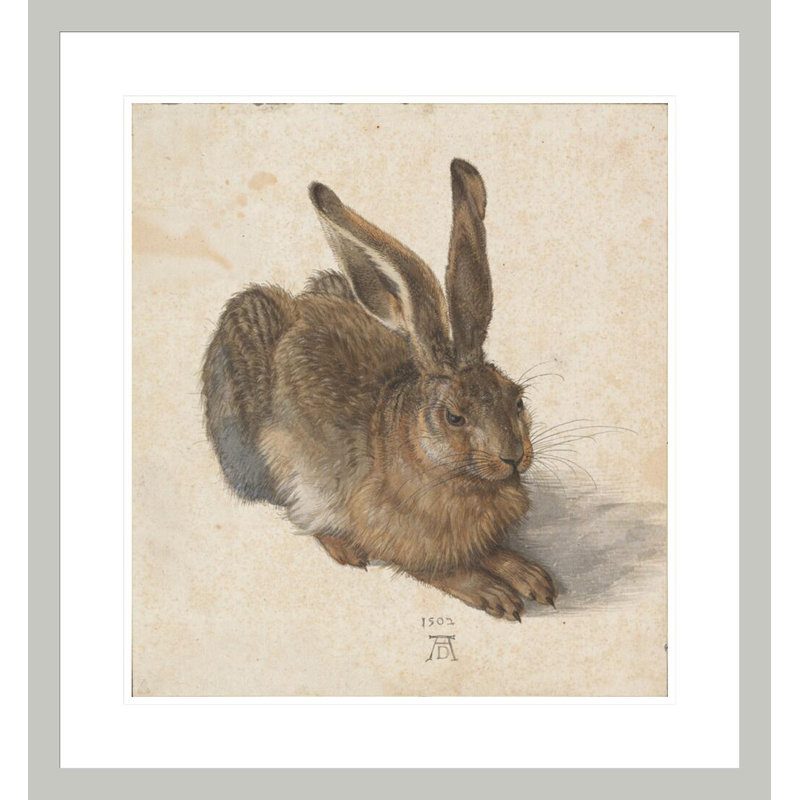 «Young Hare» par Albrecht Dürer, impression giclée sur cadre, 25.3" H x 23.5" W