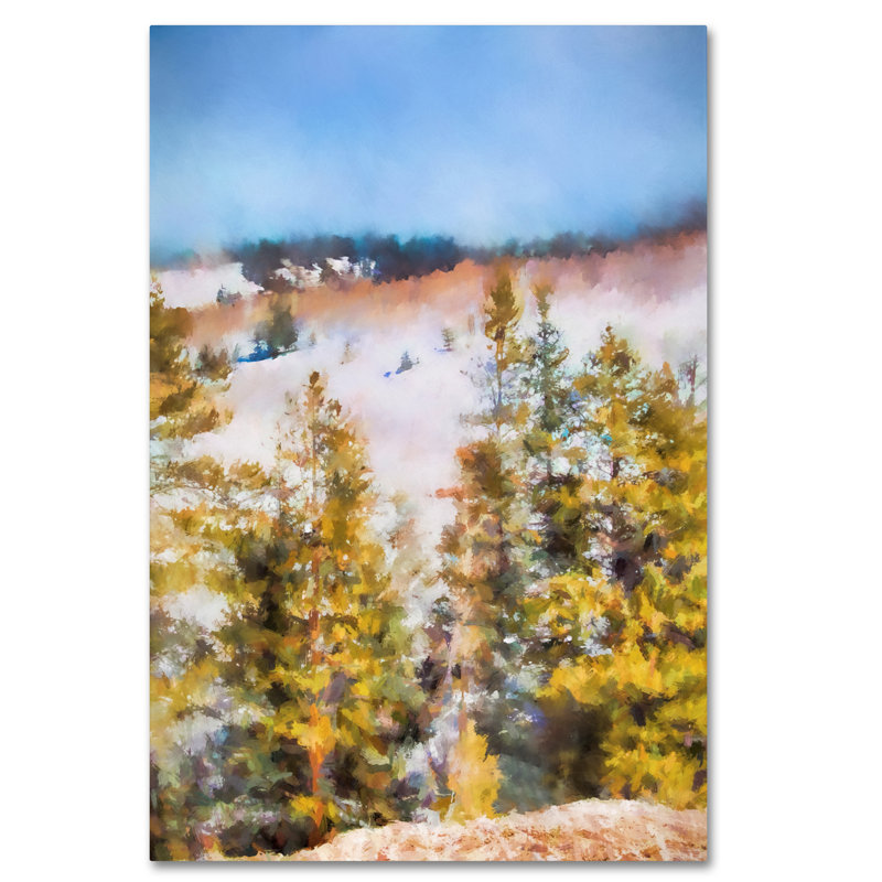 «Vidur Colorado Color Splash 1», reproduction sur toile tendue, H 24 po x l 16 po