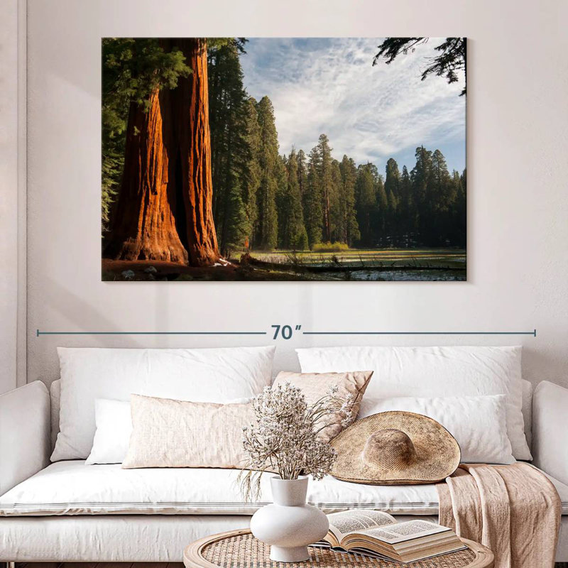 Harnek Kings Canyon Sequoia Trees