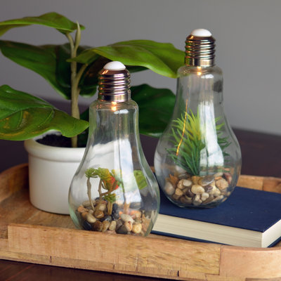 2-Piece Glass Edison Terrarium Set