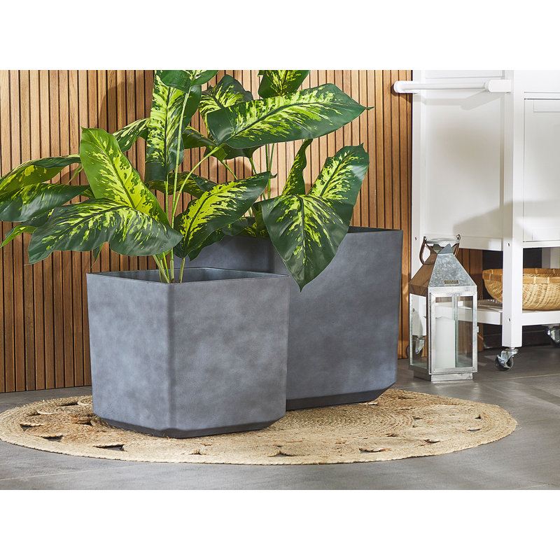 Aarran Pot Planter, 43cm H x 43cm W x 43cm D 