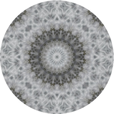 Oriental Indoor Rug