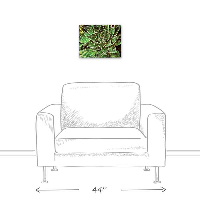 Spotty Succulent sur toile, H 11 po x l 14 po x P 1,25 po