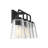 Boornazian 4-Light Dimmable Vanity Light in Matte Black-1112368011