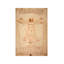 Vitruvian Man by Leonardo Da Vinci - 1 Piece Painting on Canvas-1226430545-1226430548