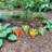 Casimir Animals Weather Resistant Metal Garden Statue