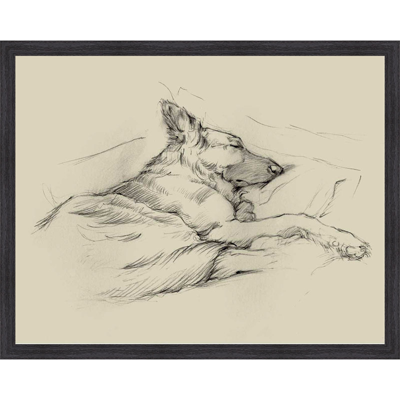 " Dog Days IV "