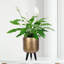 Metallic Concrete Effect Cylinder Round Planter on Hardwood Legs, Round Indoor Plant Pot Stand for Indoor Plants, Indoor Flower Pot-1091484467-1091484466