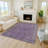 Machine Washable Indoor/Outdoor Derrick ACN2231 Global Rug-1236246359