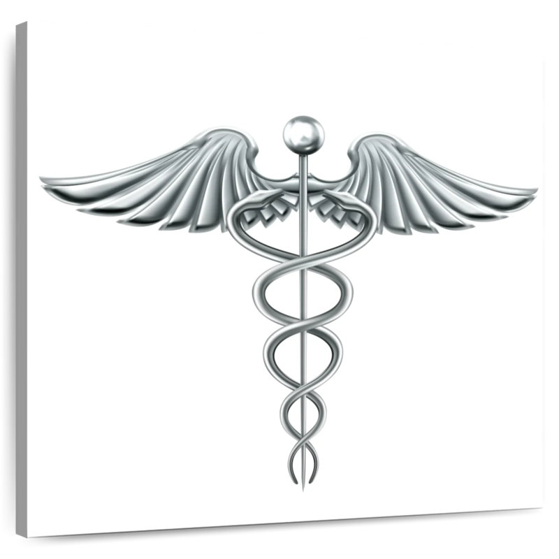 Symbole Alcaraz médical caducée argenté, H 16 po x l 16 po