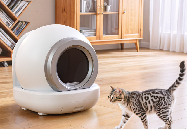 Must-Have Automatic Litter Boxes