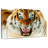 Brampt Furious Tiger-108691002