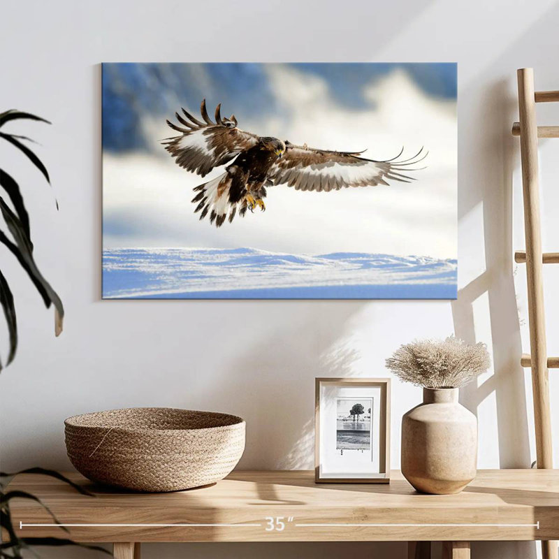 Brampt Norwegian Golden Eagle, 16" H x 24" W