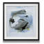 Cool Water III - Imprimé-29161795-33459215
