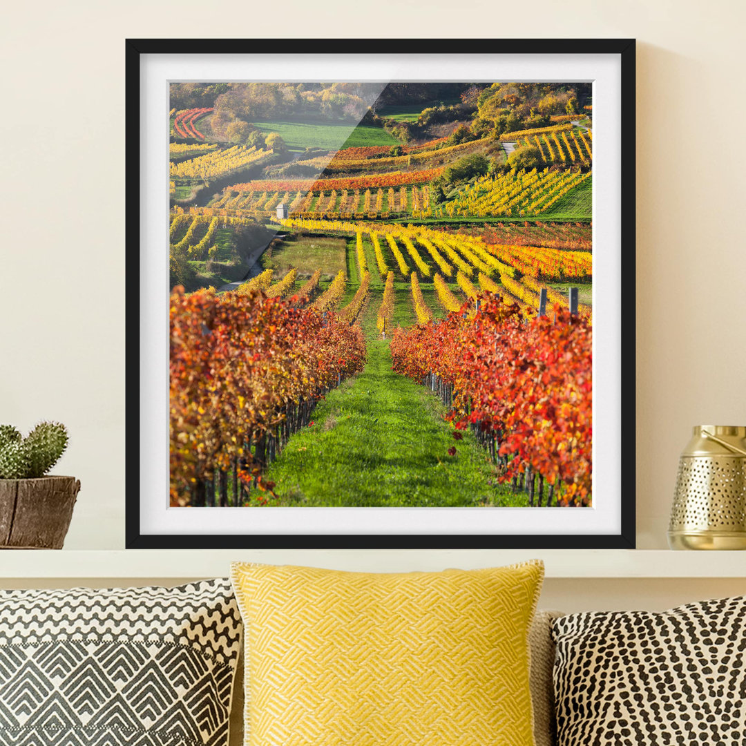 Gerahmtes Poster Vineyard View