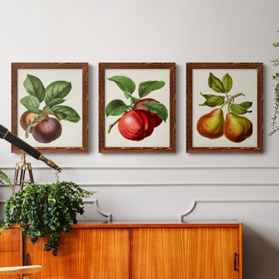 " Antique Fruit IX " 2 - Pieces Painting Print