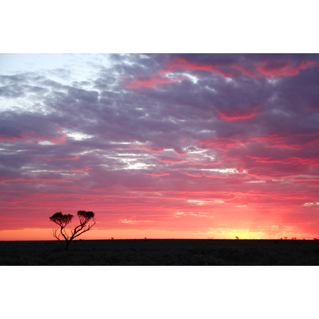 Sonnenuntergang auf der Nullarbor-Ebene - Kunstdrucke auf Leinwand - Wrapped Canvas