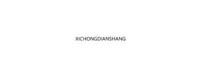 XICHONGDIANSHANG Logo