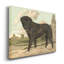 « Mastiff »-impression sur toile-2077485810
