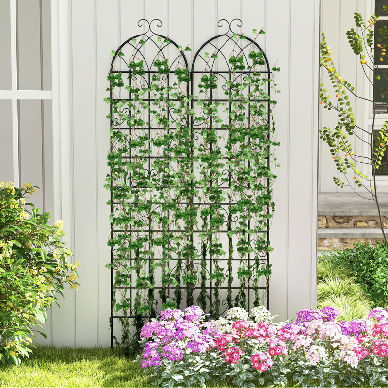 Metal Arched Trellis, 220cm H x 50cm W