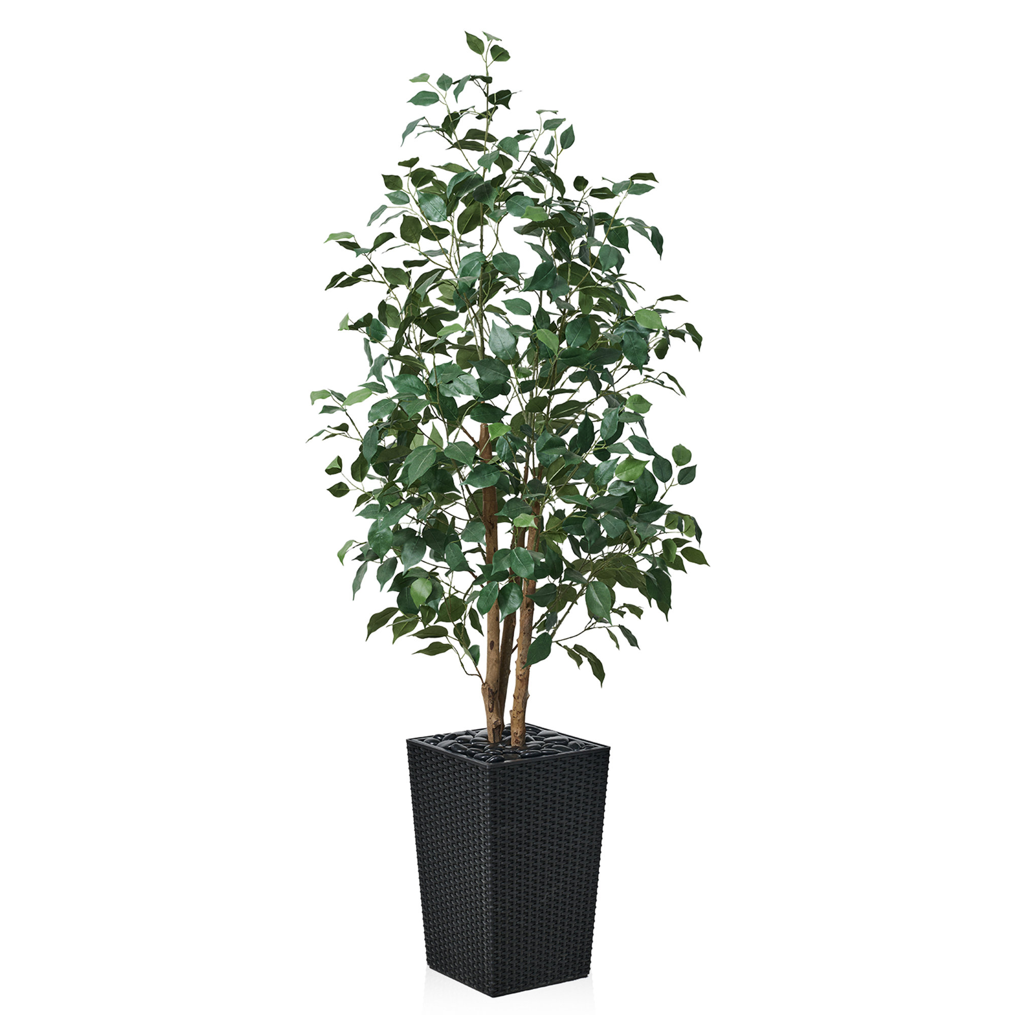Almont UV Protected Artificial Ficus Tree with Decorative Base, Faux Ficus Plant with Natural Trunk, Black