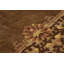 Antique Chinese Rug, Rich Brown Field With Floral Borders - Rug & Kilim