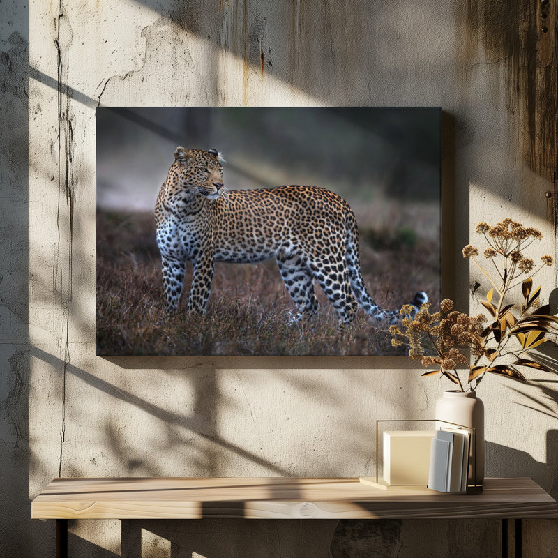 Wrapped Canvas Print, 50.8 cm H x 76.2 cm W