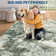 Abstract Machine Washable Rug for Living Room Bedroom Ultra Thin Non Slip Modern Carpet for Dining Room, Low Pile Accent Floorcover for Office Home