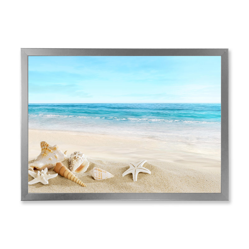 Paysage avec coquillages sur une plage tropicale - photographie sur toile, H 16 po x l 32 po, Cadre photo argenté