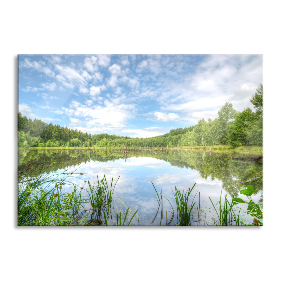 Glasbild Waldsee Nachmittagstraum