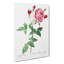 Provence Rose In Pink by Pierre-Joseph Redoute - Wrapped Canvas Print-55322744